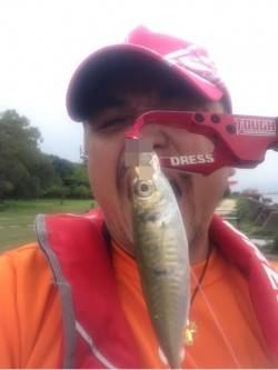 大阪南港、デイアジング釣果