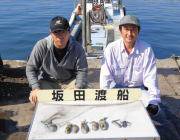 【10日】黒島の磯のアオリイカ釣況