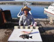 ウニをエサにイシダイ40㎝