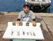 黒島の磯のエギング　新子のアオリイカ