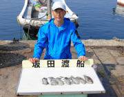 黒島の磯のエギング　新子のアオリイカ