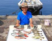 さけかす、ホンダワラをエサにアイゴ&…