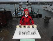 黒島の磯でエギング、新子が入れ食い！