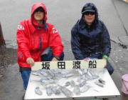 黒島の磯でエギング、新子が入れ食い！