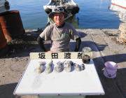 黒島の磯でのエギング釣果、ヒットカラーはピ…