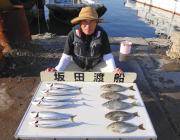 黒島の筏で良型のサバ&アイゴ