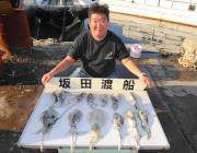 少しづつサイズUP!?　黒島の磯のアオリイ…