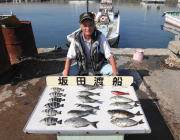 アイゴ・グレ・サンバソウなど多彩にゲット