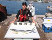 黒島の磯でシイラ83cm