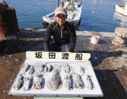 磯でのエギング☆アオリ新子～0.6キロ