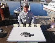 イシダイがあがりました♪　黒島の磯