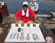 黒島の磯　エギングでアオリイカの新子釣果