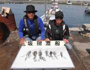 黒島の磯　エギングでアオリイカの新子釣果