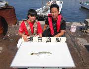 ルアーでハマチやタチウオの姿も♪