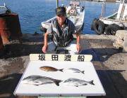 黒島の磯フカセで良型チヌ・アイゴ