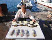 ヤエンでのアオリイカ釣果　黒島の磯