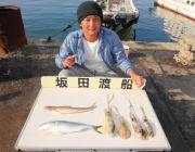 ノマセでハマチ・ヒラメをゲット♪