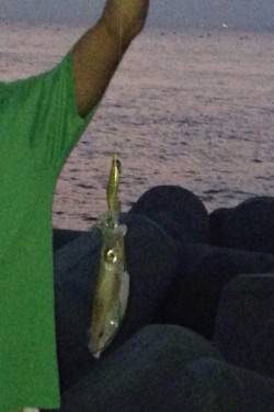 江井ヶ島でエギング、底から少しダートで乗り…