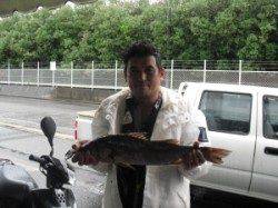 カブト磯でスズキ60cm&カサゴ　アジの飲ませ釣り