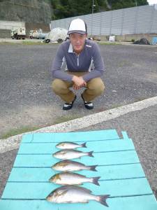 ヒラバエ　カゴ釣りでイサギ〜34cm5匹