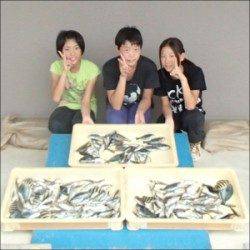 日引防波堤、3人でアジ約300匹と賑やかな釣果☆