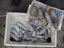 ナラムシクイ、2.5号のエギでアオリ24杯！！