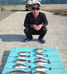 ヒラバエでのカゴ釣り釣果〜イサギつれています！〜