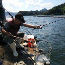 青井イカダに釣行、数釣りが楽しめます