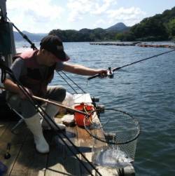 青井イカダに釣行、数釣りが楽しめます