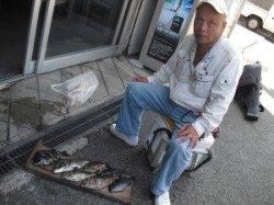 ジロー磯でフカセ釣り、色々な魚が釣れました♪