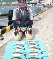 ヒラバエ　カゴ釣りでイサギ・スマガツオ