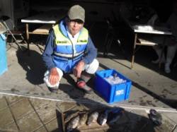 大磯でのオキアミフカセ釣り、グレ・アイゴ