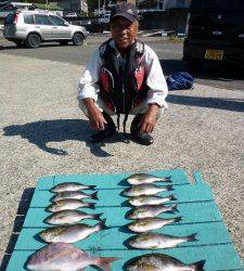 神谷沖一文字外向き、カゴ釣りでマダイもキャッチ！