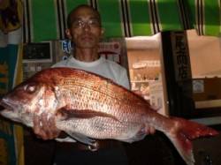 半夜のカゴ釣りで大鯛！ 各磯で良型アジも(…