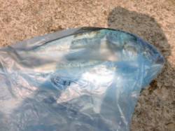 【午後から荒れて短時間勝負でした】茶釜でジ…