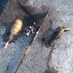 【スレ気味でしたが…】内浦湾波止でアオリイカ 8匹