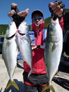 沖一文字でツバスが回遊しています♪カゴのま…