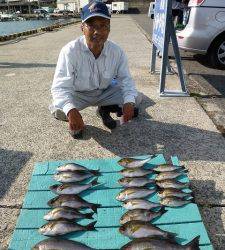 ヒラバエ　カゴ釣りでイサギの釣果　ジャンボ級も