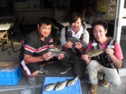 カブト磯　フカセで中型グレ＆アイゴの釣果