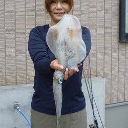 湯浅の磯、女性エギンガーが880gのアオリキャッチ！