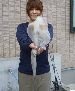 湯浅の磯、女性エギンガーが880gのアオリ…
