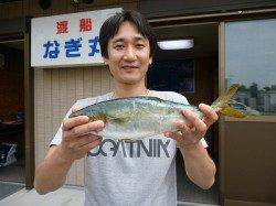 メタルジグでツバス、ヒットカラーはレッドゴールド