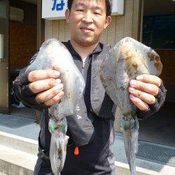 湯浅でのアオリイカ釣果　エギング・ヤエン両方で釣れました♪