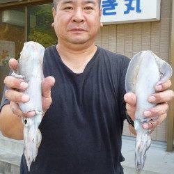 【12日】エギングでアオリ新子　HITカラーはレッド！