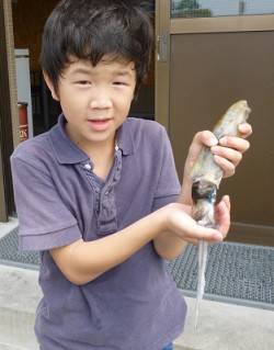 ★KIDS釣果★湯浅でエギング、アオリ9ハ…