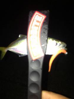 ２０時に淡路の漁港でアジングをしてきました…