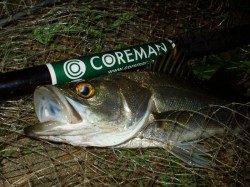 津居山港　回遊待ちのシーバス狙い☆