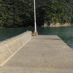 宮尾　夕間詰めからのエギングでアオリイカ　アジの泳がせにはアタリなし