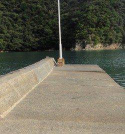 宮尾　夕間詰めからのエギングでアオリイカ　アジの泳がせにはアタリなし