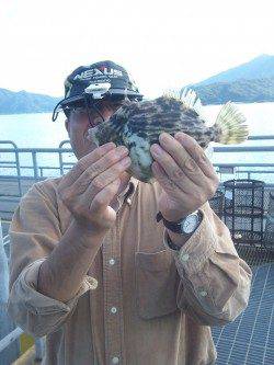 宮津東部エリア胴突きで良型カワハギ